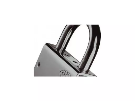 1546516625-88308700.jpg?