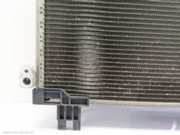 1aff33e0-1052-4a81-bfb7-9875edf388ce.jpeg?