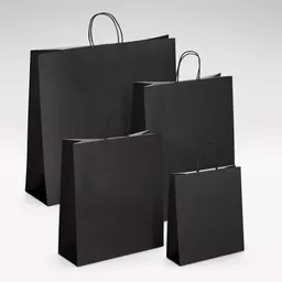 White-kraft-black-twist-bag-GROUP.jpg