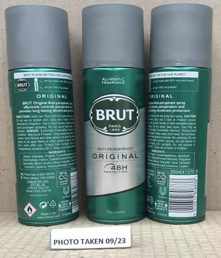 BRUT04.jpg?