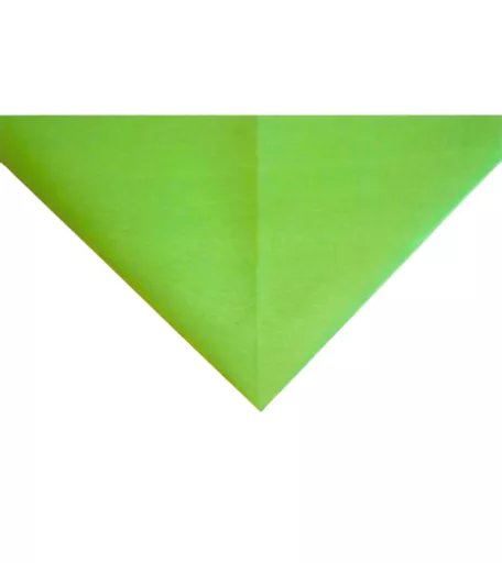 18in x 28in Apple Green Coloured Tissue