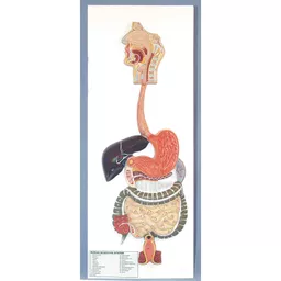 FINHC1009355.png