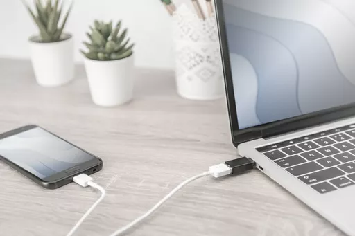 Z0P1QfEYuUGdInqPGfH5ZA.c-r.jpg?