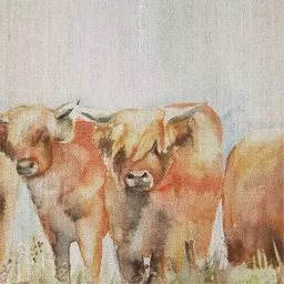1488887102-27932300.jpg?