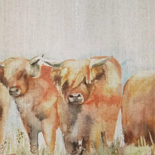 1488887102-27932300.jpg?