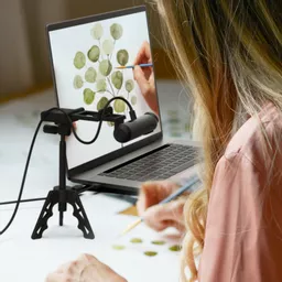 SOaL6InDREOWRY6-UKhHCQ.c-r.jpg?