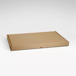 2901120.png
