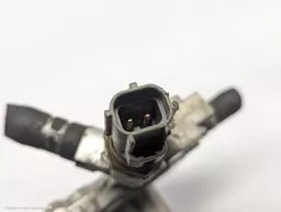 2c5e03ab-c3b4-4b2c-9d3d-fc5cd3d286cb.jpeg?