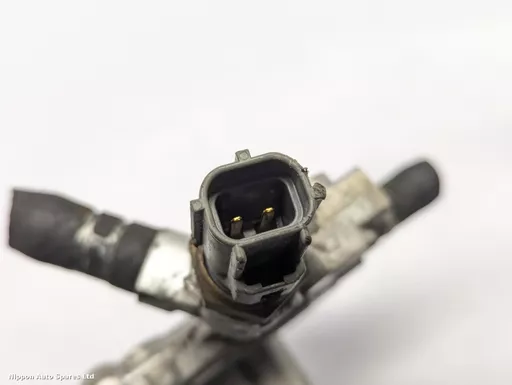 2c5e03ab-c3b4-4b2c-9d3d-fc5cd3d286cb.jpeg?