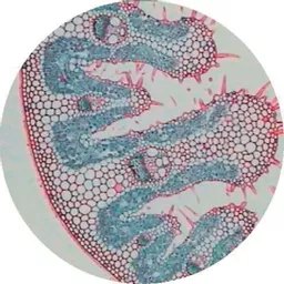 FINHC1890193.png