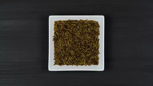 Mealworms_250g_2.jpg