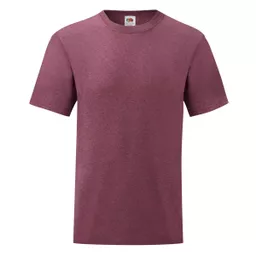 Men's Valueweight T-Shirt