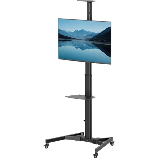 moua2Wfn5EGLlNNjSL7XrQ.c-r.jpg?