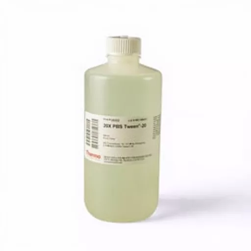 17702072912a4cff80d709f8ff994d303bd790949a.png?