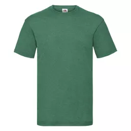 Men's Valueweight T-Shirt