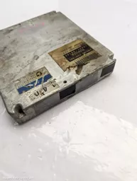 3393959e-eeb2-4bfd-a1d1-71f55a3f7c5c.jpeg?