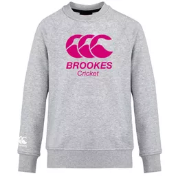 OxfordBrookesUniversity_Cricket_ClubSweatshirt_Grey_Front.png