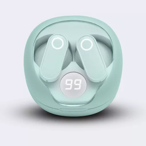 TWS Earbuds with Charging Case