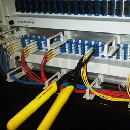 e00-4988-action-shot.jpg?