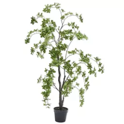 Green Tree Large.jpg