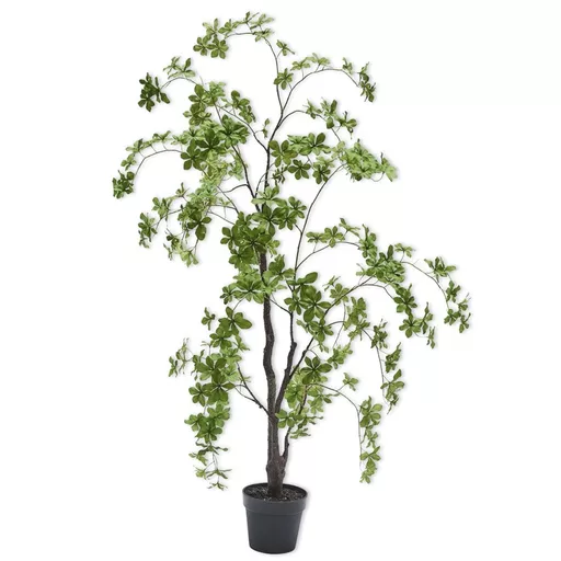 Green Tree Large.jpg