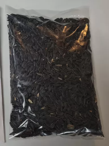 sunflower-seeds.jpg