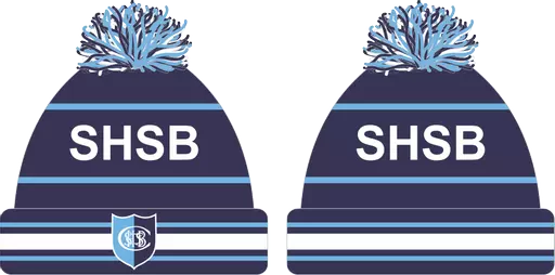 Beanie (1).png