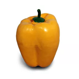 yellow pepper.jpg