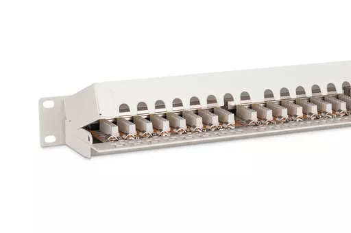 A1xv9cWaTUmdbOxcuupvfA.c-r.jpg?