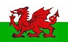 X-Large Flag - Welsh Dragon