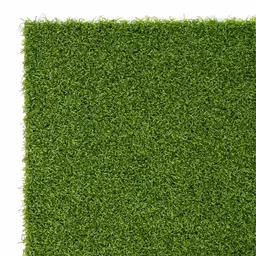 4_Premium-Standard-Turf_Top-600x600.webp