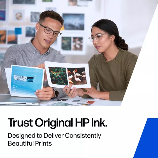 MZZLQmN11kazRIoO_SvReg.c-r.jpg?