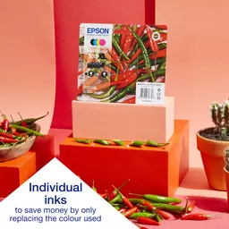 zXwv4Lhxm0S4gBiD2a_mPQ.c-r.jpg?