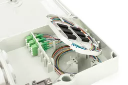 7vmIa9QN6kCZuj1DVBRXgw.c-r.jpg?