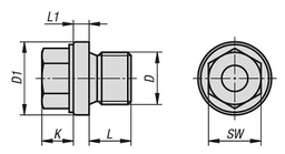 K1131-Screw-Plugs-Hex-Head-With-Collar-Drawing_1200x1200.jpg?