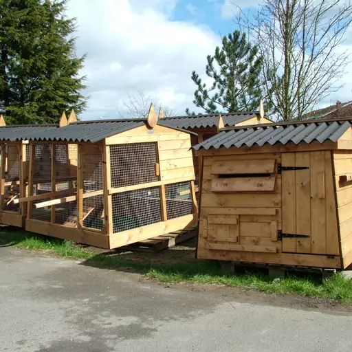 Half-way Penthouse Chicken House