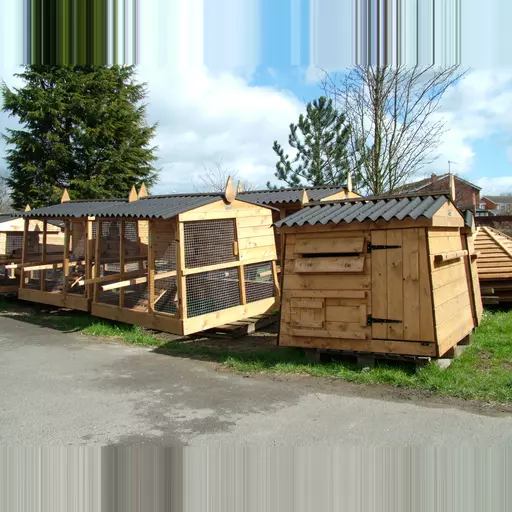 Half-way Penthouse Chicken House