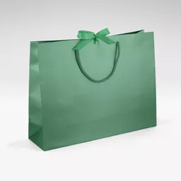 Large Forest Green Luxury Bag.png