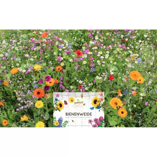 Bee Meadow Wild Flower Seed