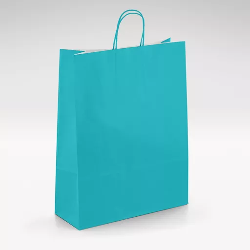 White-kraft-turquoise-twist-bags-Medium.jpg