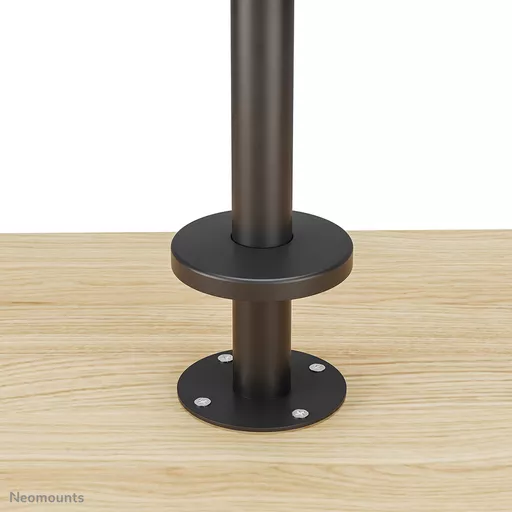 _bD37_zdSk68LzGf2TxuBA.c-r.jpg?