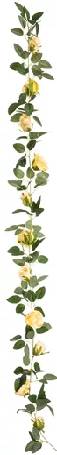IT393766.jpg