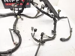 f0ff1813-bdcb-4b9a-8585-d3b3ee2bf02c.jpeg?