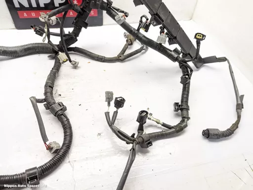 f0ff1813-bdcb-4b9a-8585-d3b3ee2bf02c.jpeg?