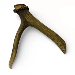 Natural Antler Pick 1.jpg