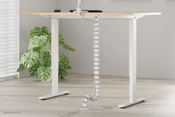 gU6jd-cWQk6a9pvJ9tc-aA.c-r.jpg?