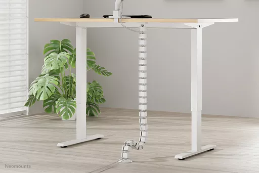 gU6jd-cWQk6a9pvJ9tc-aA.c-r.jpg?