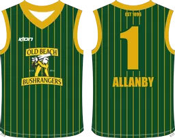 cricket vest (3).png