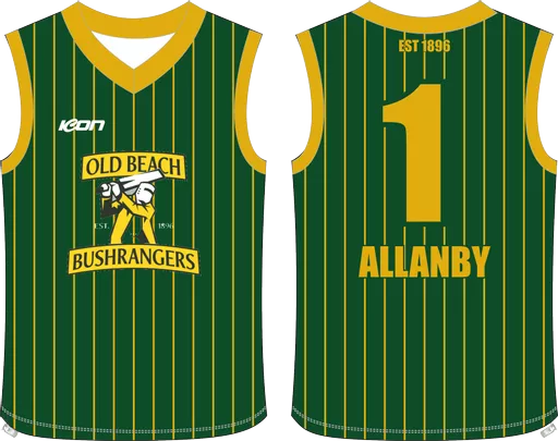 cricket vest (3).png