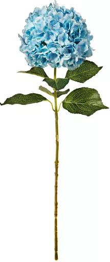 IT393783.jpg